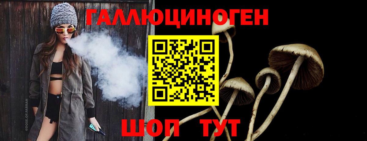 Галлюциногенные грибы Magic Shrooms Кингисепп